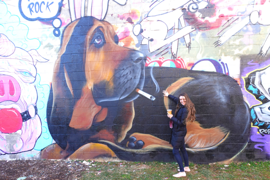 Asheville, NC Bloodhound Graffiti