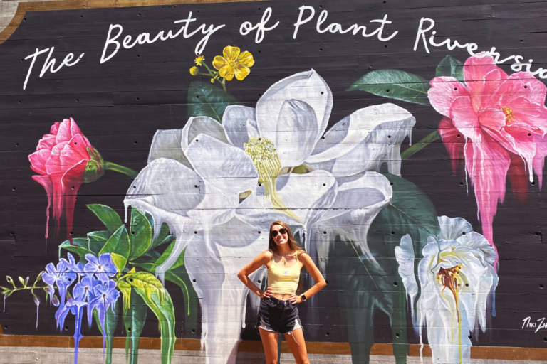 Must Knows Before Visiting Savannah, GA